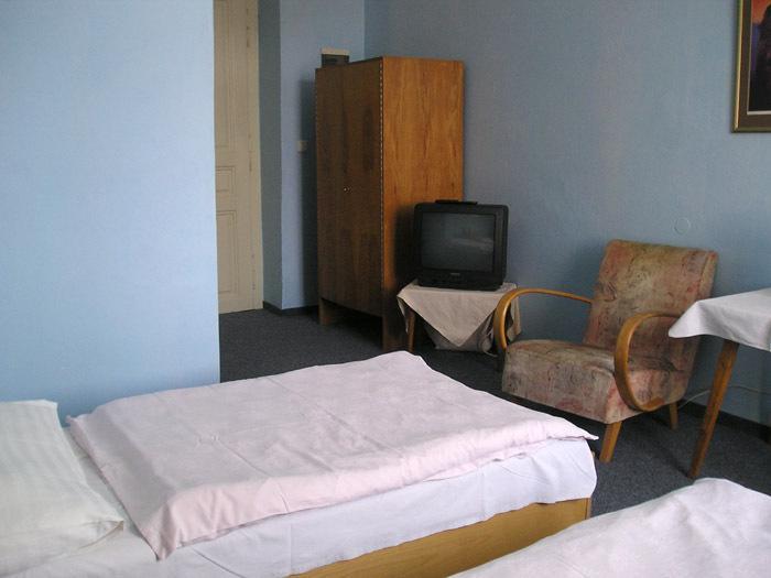 Hotel Dvorak Chrast Экстерьер фото