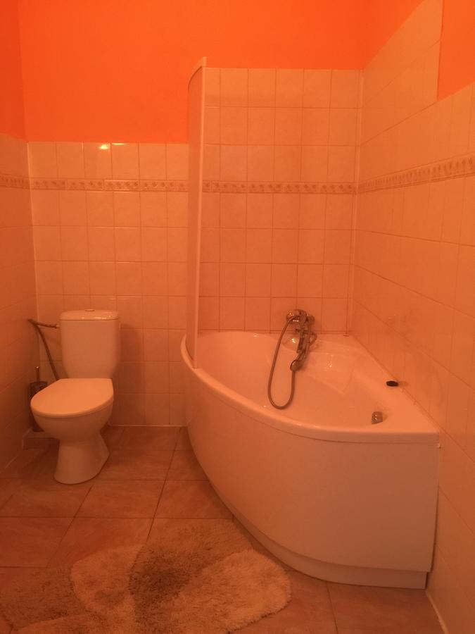 Hotel Dvorak Chrast Экстерьер фото